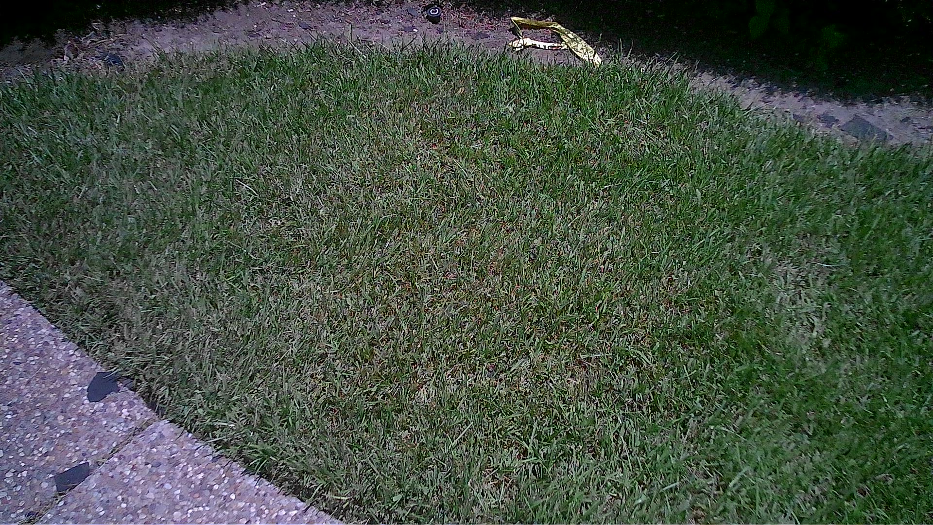 Storm Damage Restoration